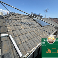 画像256