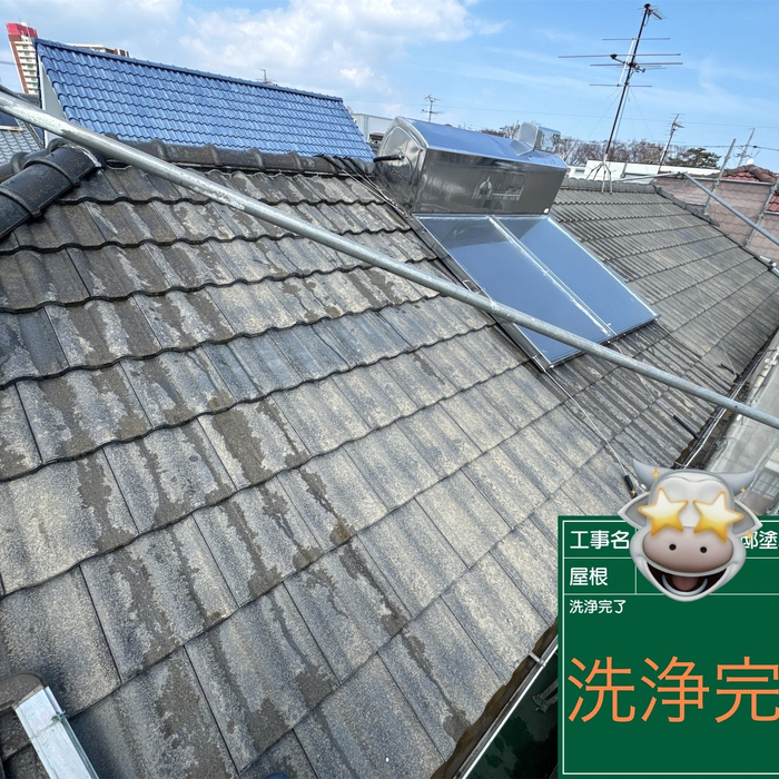 画像257